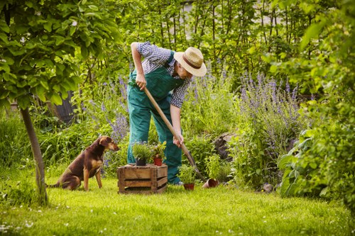 Professional gardener trimming a residential hedge in Kings Cross