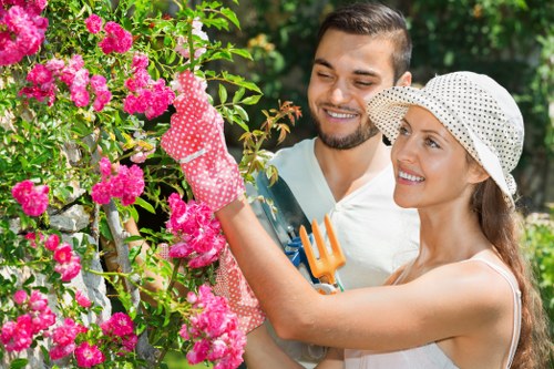 Close-up of hedgerow being trimmed by insured gardeners