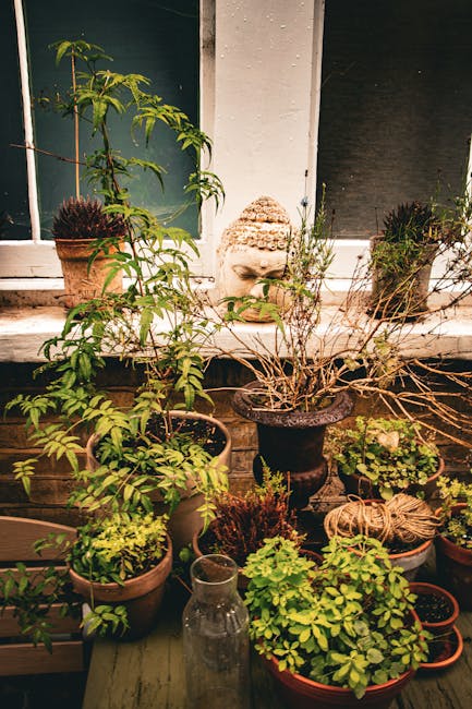A small courtyard garden in Kings Cross N1C featuring a variety of lush green plants and foliage growing against brick and wooden walls. The garden includes potted plants with vibrant leaves, ferns, a